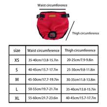 新款可调节月经内裤，礼貌狗设计，防漏，防骚扰 - 彩色 - 查看 2