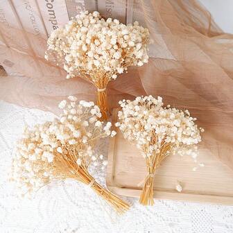 Mini Dried Baby Breath Flowers Gypsophila Ivory Flowers Dried Flowers For Vase Wedding Home Office Party Garden Card Making Decor Wreath Floral Craft DIY Art
