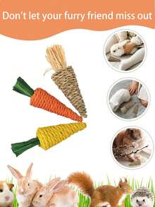 Jucării de mestecat în formă de morcovi, țesute manual, în pachete de 2, 3, 4 sau 6, potrivite pentru iepuri, hamsteri, cobai și pisici. Combinând îngrijirea dentară cu divertismentul, acestea ameliorează eficient plictiseala, promovând în același timp o mestecare sănătoasă. Ideale ca și cadouri de Crăciun sau de Halloween.