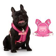 Arnés reflectante ajustable para mascotas y correa, adecuado para perros medianos y pequeños, diseño integrado de mochila para viajes al aire libre, senderismo y paseos, mochila con correa para el pecho de la mascota - Multicolor - Ver 5