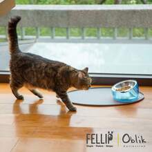 Felli Pet Oblik Whisker Fatigue Cat Bowl Stainless Steel Shallow Flat Plate For Dry Wet Food Elevated Acrylic Base With Treats Storage Anti Vomiting No Slip Feeder Slanted 0.5Cup Sapphire