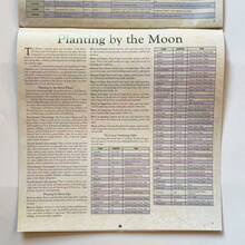 2026年女巫魔法日历及威卡教咒语书 - 包含月相、草药疗愈指南、凯尔特结及巫术艺术 - 无日期异教徒计划本，适用于威卡教、冥想、占星术 - 由Llewellyn Design设计，英文版，每日及每月灵修计划，神秘封面，附女巫日历、草药疗法及威卡教传统咒语指南 - 女巫 - 查看 3