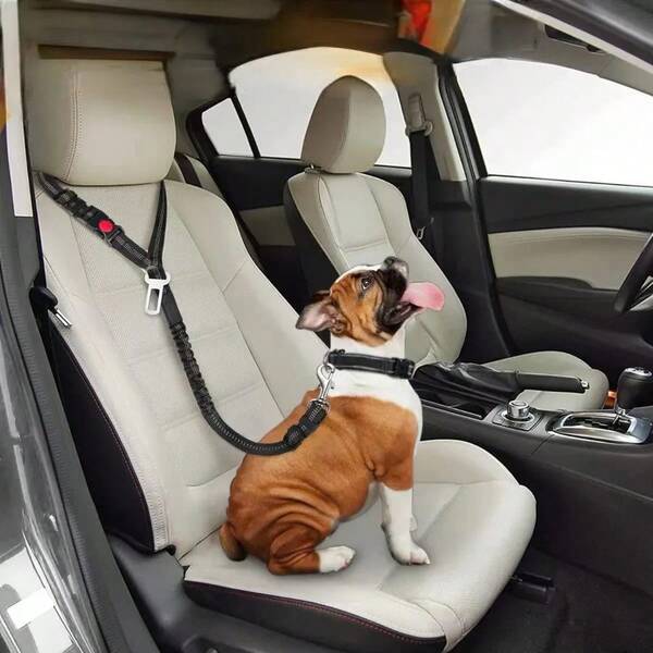 Dog Car Towing Rope, Dog Chain, Fixed Towing Belt, Used For Towing Vehicles This Is A Car Strap Designed Specifically For Dogs, Aimed At Guarding Every Journey.