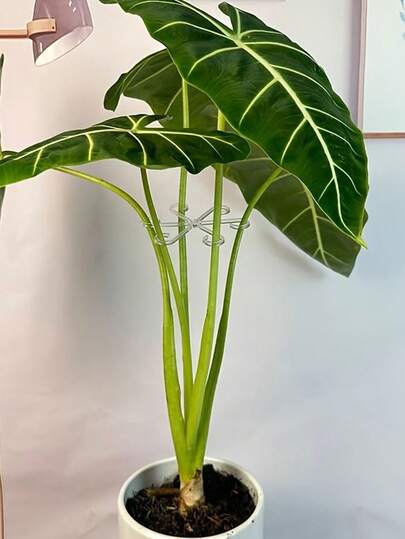 20pcs Plant Anti-Toppling Support Pole, Plant Fixator Flower, Hydroponic Folding Fixed Support, Plant Support Clips,Plant Support Fasteners,Sturdy Stem Clamps For Climbing Plants - Plastic Material,Or Indoor Climbing Plants, Plant Supports