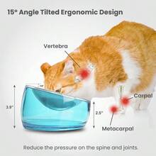 Felli Pet Oblik Whisker Fatigue Cat Bowl Stainless Steel Shallow Flat Plate For Dry Wet Food Elevated Acrylic Base With Treats Storage Anti Vomiting No Slip Feeder Slanted 0.5Cup Sapphire