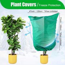 Una cubierta de protección contra heladas para plantas con cremallera y cordón, adecuada para cubrir arbustos, grupos de árboles y árboles altos en climas fríos al aire libre durante el invierno. - Multicolor - Ver 4
