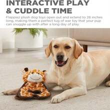 Outward Hound By Charming Pet Lil' Dudes Pig Plush Squeaky Dog Toy - ColorF - 查看 3