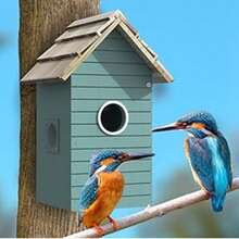 LapEasy Smart Bird Houses For Outside With Camera, Bird House Kit, Hummingbird House, 3MP HD Photos, Inside 2.4G-Wi-Fi, Blue - Blue - View 6