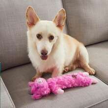 Outward Hound By Charming Pet Lil' Dudes Pig Plush Squeaky Dog Toy - Màu B - Xem 5