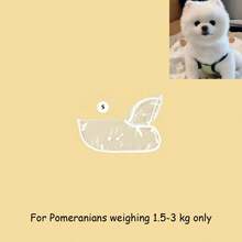 PETSIN 2/1pc Transparent Waterproof Dog Raincoat - Full-Body EVA Material Hooded Raincoat (Recommended To Purchase One Size Larger; Please Measure Your Pet's Body Size Before Purchasing To Ensure A Comfortable Fit) - Clear - View 13