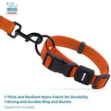 Best Pet Supplies Correa Reflectante para Perro Voyager con Mango De Neopreno, 5 Pies De Largo, Soporta Cachorros De Razas Pequeñas, Medianas Y Grandes, Linda Y Resistente para Caminar, Correr Y En(Collar (Naranja) S (10 - 16)) - Tipo 11 - Ver 4