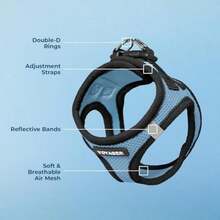 Best Pet Supplies Voyager Arnés de Malla para Perros, ,(Pequeño (Pecho: 14.5" - 17") Base azul bebé) - Tipo 8 - Ver 4