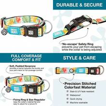 Max & Molly Fashion Smart ID - Collar para perro, antidecoloración, tamaño ajustable con perfil de mascota, etiqueta inteligente QR, impermeable y lavable a máquina, diseño de piña dulce pequeño (tamaño de cuello 11-18 pulgadas)(Exotique Pequeño) - Tipo34 - Ver 1