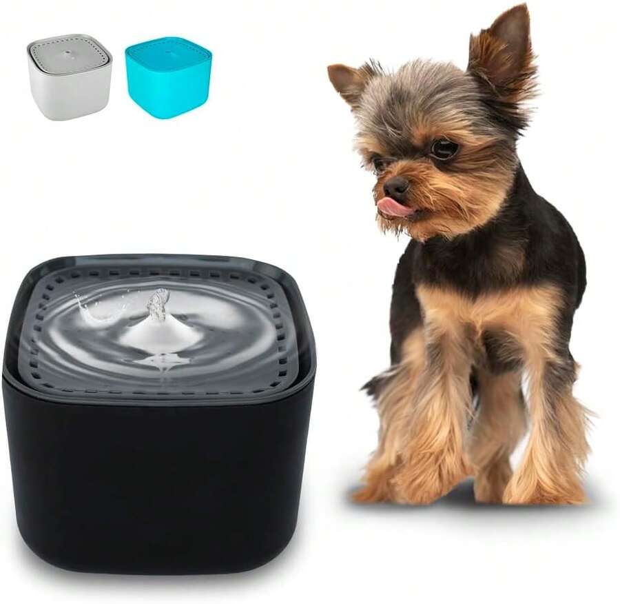 Fancy Pets Bebedero Automático para Perros y Gatos, 3L, con Filtro de Carbón Activado, Agua Fresca, Recirculación Silenciosa, Dise?o Cubo Negro - negro - Ver 1