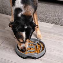 Slow-Feeding Design Suitable For All Ages (Puppies/Adults) Anti-Bloating Slow Fun Feeder Bowl, Slow Feeder Dog Bowl, Gray, Large Made Of Durable Material, It's Drop-Resistant And Bite-Resistant, Making It Suitable For Long-Term Daily Use With Your Dog's Food.  It Helps Your Dog Chew More Thoroughly, Gastrointestinal Burden, And Helps Prevent Digestive Issues Like Bloating.  It Combines Practicality With Aesthetics, Adapting To A Variety Of Home Styles. - 灰色的 - 查看 7