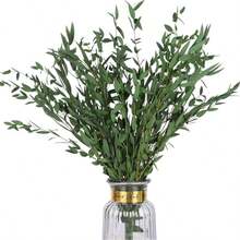 Grüne feine Blätter