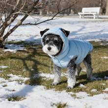 BJAYPET 一套秋冬新款狗狗羽绒服，带可拆卸帽子 - 双层保暖防风背心式羽绒服，高品质，可机洗，加厚颈部保护，适合小型犬到超大型猫咪，也适合无毛猫、雪纳瑞犬和其他小型犬种，穿着舒适。