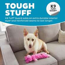 Outward Hound By Charming Pet Lil' Dudes Pig Plush Squeaky Dog Toy - Màu B - Xem 3