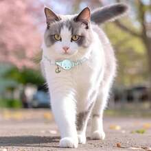 Genérico Airtag Collar para Gato, Collar Reflectante Airtag para Gatos, Collar de posicionamiento, Ultra elástico GPS para Gatos, Diseño Reflectante, Ligero y portátil (Rosa - S-Verde - Ver 12