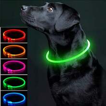 Collar luminoso para perro, carga de collar de gato con luz LED, accesorio de moda con luz intermitente DIY brillante y de para mascotas para uso nocturno