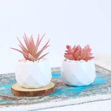 带盆多肉植物人造植物小型假盆栽人造装饰粉色仿真植物适用于客厅卧室办公室书桌书架浴室装饰人造植物