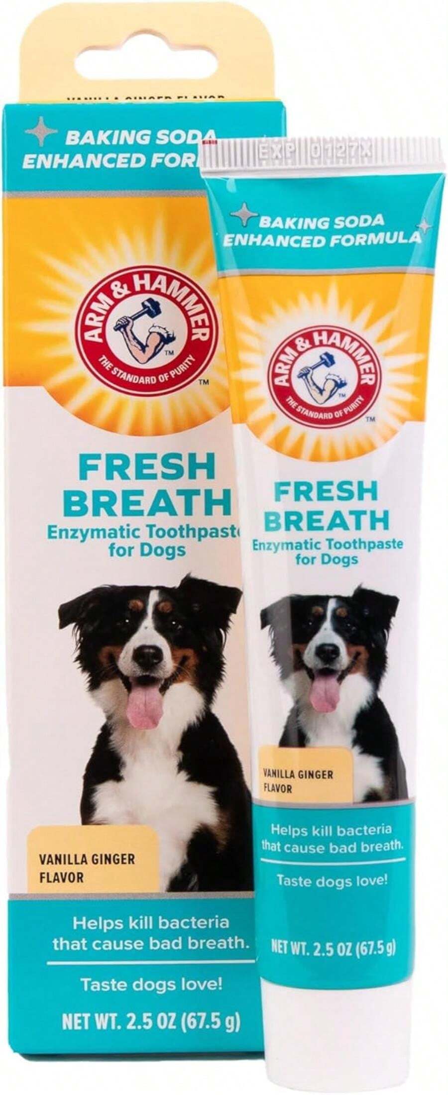 Arm &amp; Hammer Dog Dental Care Fresh Breath Enzymatic Toothpaste for Dogs | No More Doggie Breath | Safe for Puppies, Clinical Care, Vanilla Ginger Flavor - Rojo y blanco - Ver 1