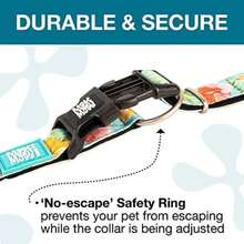 Max & Molly Fashion Smart ID - Collar para perro, antidecoloración, tamaño ajustable con perfil de mascota, etiqueta inteligente QR, impermeable y lavable a máquina, diseño de piña dulce pequeño (tamaño de cuello 11-18 pulgadas)(Exotique Pequeño) - Tipo34 - Ver 4