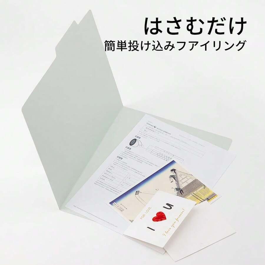 Hanging File Folders