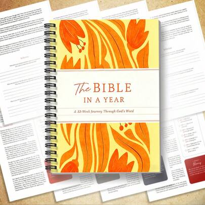 DANPERJI خطة دراسة الكتاب المقدس لمدة عام وكتاب تأملات يومية - خطة قراءة يومية بتصميم أوراق نباتية مع مساحة للصلاة، تصميم أوراق الخريف والنباتات الخضراء، دليل دراسة الكتاب المقدس المسيحي المحمول للتأمل الشخصي ومجموعات الكنيسة والهدايا، مجلد حلزوني، سلك معدني متين قابل للطي، مقاس 5.5 * 8.3 بوصة