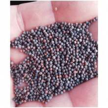 200seeds Flower Seeds Flower, Flying Grass, Hedgehog Flower, Stem And Leaf Plant Seeds, Annual Plant Seeds, Perennial Plant Seeds, Shrubs - 40粒種子 - 查看 2