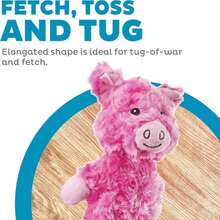 Outward Hound By Charming Pet Lil' Dudes Pig Plush Squeaky Dog Toy - Màu B - Xem 2