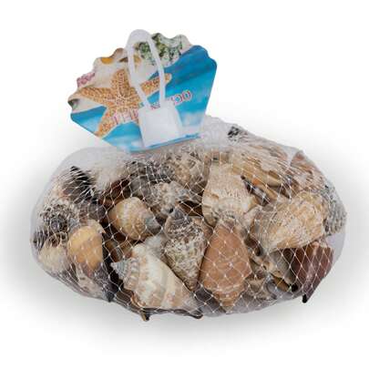 Concha Do mar - Concha de Nácar - Pacote aprox. 100grs - ZXL-3