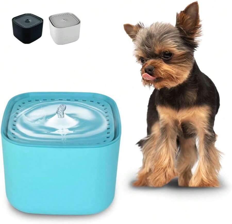 Fancy Pets Bebedero Automático para Perros y Gatos, 3L, con Filtro de Carbón Activado, Agua Fresca, Recirculación Silenciosa, Dise?o Cubo Negro - Agua - Ver 1