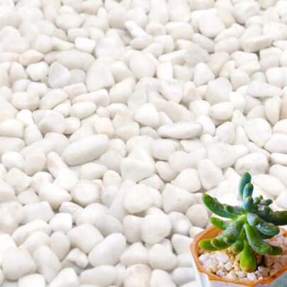 White Pebble 13cm White Gravel For Indoor Plants River Rocks Pebbles For Plants Home DIY Decor Aquarium Gravel Vase Fillers Fairy Garden Landscaping Outdoor Stones
