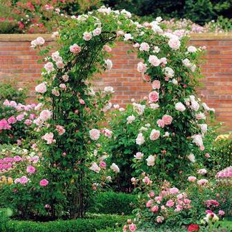 1 st metallbåge trädgårdsspaljé, stödram för klätterväxter, rosor, grönsaker, utomhusdekor, stor bågdekoration, bröllopsträdgård, alla hjärtans dag, jul, påskfestdekor gör-det-själv-båge