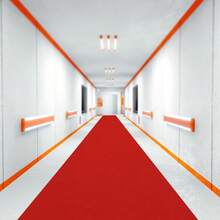 3ft X 33ft Red Carpet Runner, Aisle Runner, Party Runway Hallway Rug Floor Mat For Proposal Wedding And Events Prom Decorations, Outdoor Carpet, Entryway Rug - Đỏ - Xem 1