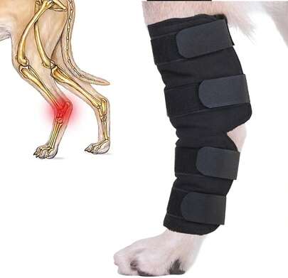 ZUJIACUN Dog Injury Prevention Rear Ankle Support With Knee Support For Dogs, Adjustable Pet Leg Support Compression Pack Rvery Dog Support Protec Leg Wound Injuries For Pain Relief (L)