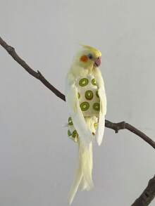 1pc Long-Tailed Parrot Bird Diaper Clothes For Bird Release