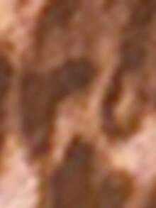 Conjunto de blusa de manga larga con cuello plisado semitransparente y estampado de leopardo, y falda a juego, estilo casual - Óxido marrón - Ver 11