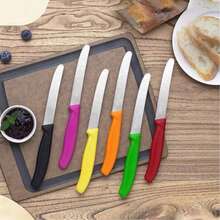 Stainless Steel Serrated Bread Knife, Steak Knife, Fruit Knife, Multi-Purpose Toaster Knife With Rounded Serrated Blade, Western Dining