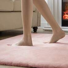 Carpets - Type31 - View 5
