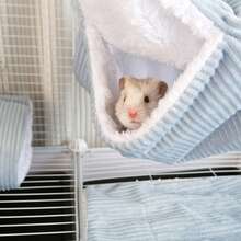 3pcs Sugar Glider Double-Layer Hammock, Ferret Hideaway Tunnel House, Pet Mat Combo Set, Suitable For Small Pets Like Sugar Glider, Hamster, Rabbit