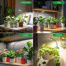 Lampe de croissance pour plantes d'intérieur à col de cygne 360°, 3 modes de couleur, 10 niveaux de luminosité, alimentée par USB, convient aux petites plantes, plantes en pot, succulentes, favorise la croissance des plantes pour l'intérieur, le balcon, le salon, le bureau, la chambre - Noir - Voir 7