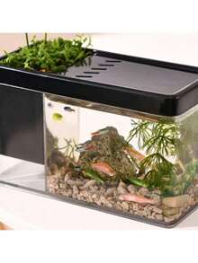 1件/2件装多功能透明桌面鱼缸兼种植箱二合一，迷你桌面鱼缸，亚克力水培植物鱼缸，北欧风桌面装饰生态瓶套装 - 彩色 - 查看 7