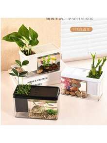 1件/2件装多功能透明桌面鱼缸兼种植箱二合一，迷你桌面鱼缸，亚克力水培植物鱼缸，北欧风桌面装饰生态瓶套装 - 彩色 - 查看 2