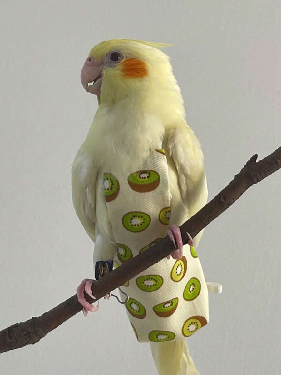 1pc Long-Tailed Parrot Bird Diaper Clothes For Bird Release