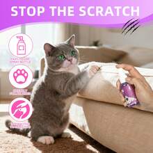 HERB ANGEL Cat Spray 2.03Oz (60ml), Cat Deterrent Spray, Natural Anti Cat Spray, Anti Scratch Training Aids For Indoor And Outdoor, Furniture, Sofa, Blanket, Curtain, Plants,  Alcohol Free Formula,Christmas,Halloween,Stocking Stuffers,Christmas, Christmas Gifts - 60ml - View 2