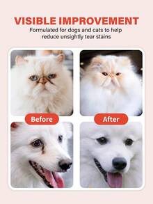 4合1宠物泪痕去除套装，适用于犬猫 | 包含去渍梳、润肤膏、眼贴和散粉刷的完整护理套装 | 温和去除泪痕、眼屎和结痂