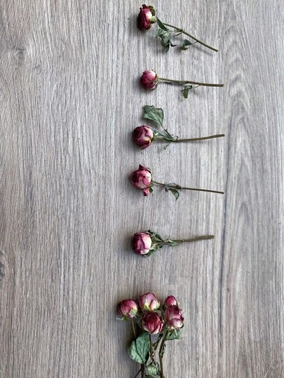 20朵干玫瑰花，干玫瑰，红色干玫瑰，迷你玫瑰花苞，红色干玫瑰，树脂用小干花，工艺品用干花，婚礼家居装饰，婚礼花艺