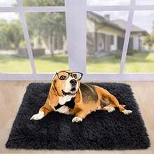 Carpets - Type6 - View 7